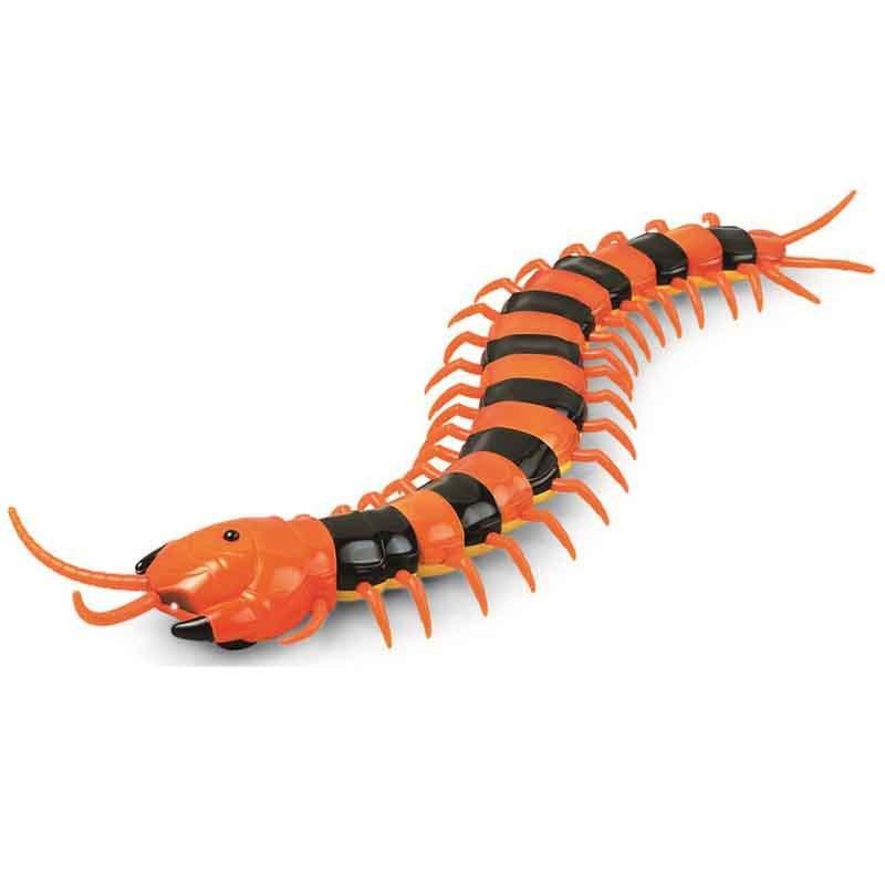 Remote Control Simulation Centipede Creepy Crawly Kids Toy
